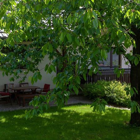Vacation Home Sofia 지고르니예 고르예 외부 사진